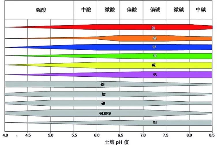 土壤PH速測儀，快速測PH